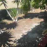 Evas * أرغوستولي